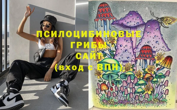 амфетамин Богданович