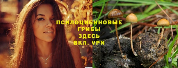 бутират Богородск